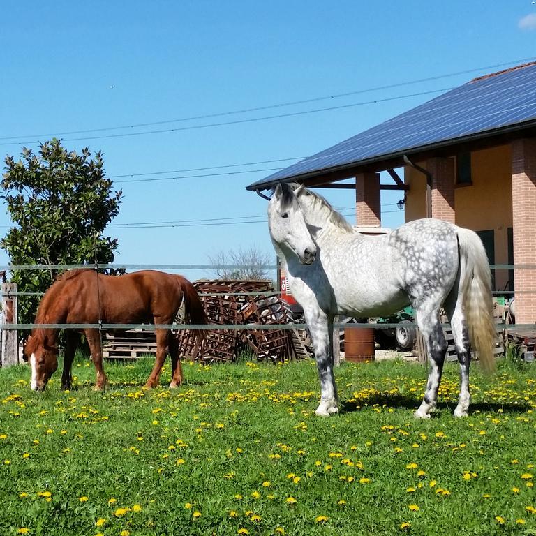 Agriturismo Santa Barbara Villa Mira Kültér fotó